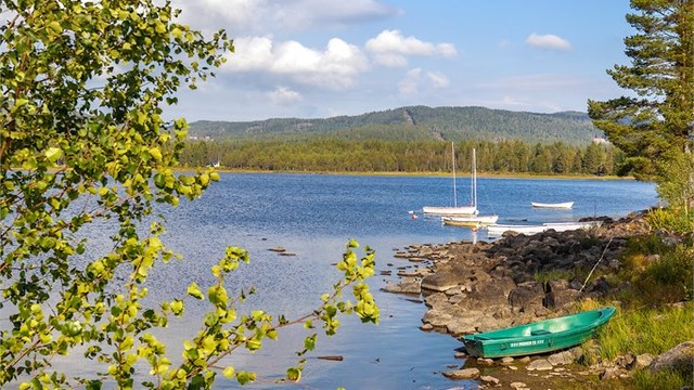 Harestua båt