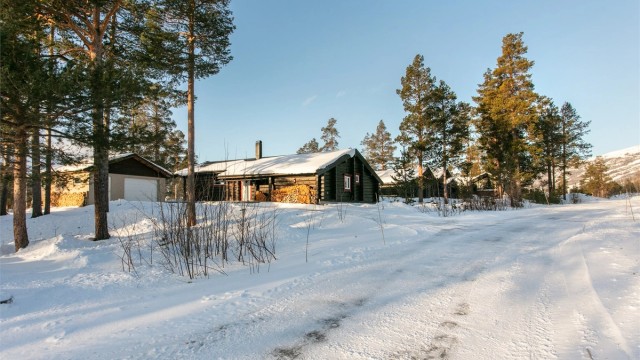 Fasade sett fra adkomstvei i hyttefeltet