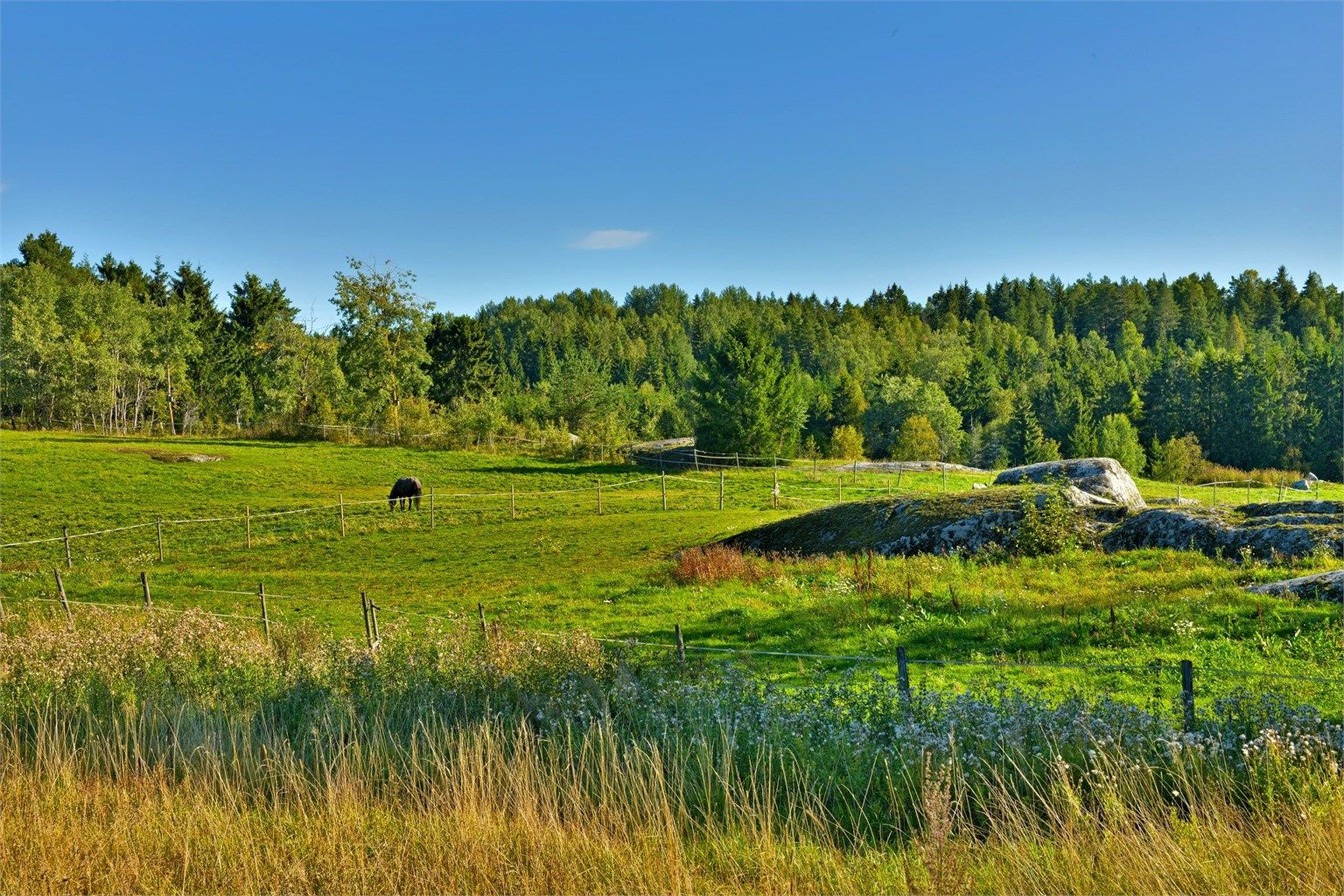 Kort avstand til marka som har fine turløyper om sommeren og lysløype om vinteren - her fra Fløysbonn gård