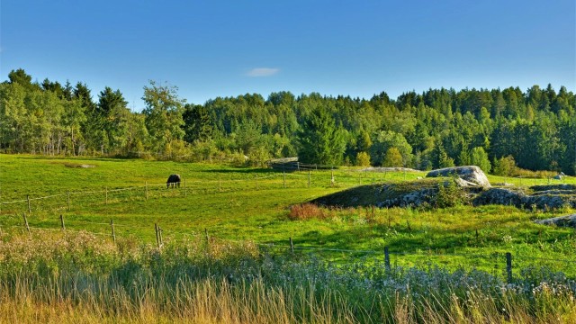 Kort avstand til marka som har fine turløyper om sommeren og lysløype om vinteren - her fra Fløysbonn gård
