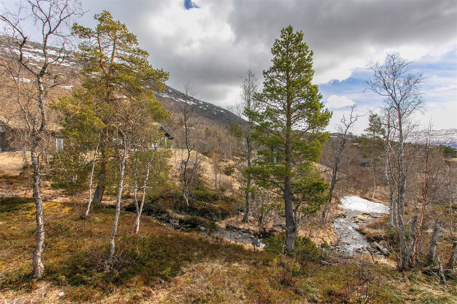 Tomten grenser til et friområde med en liten bekk, noe som forsterker naturopplevelsen.