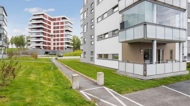 Fellesområdene er pent opparbeidet med asfalterte internveier og grøntarealer.