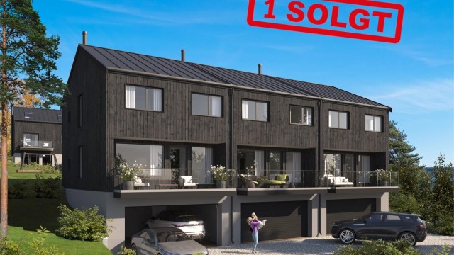 3 D illustrasjon fasader (avvik må påregnes).