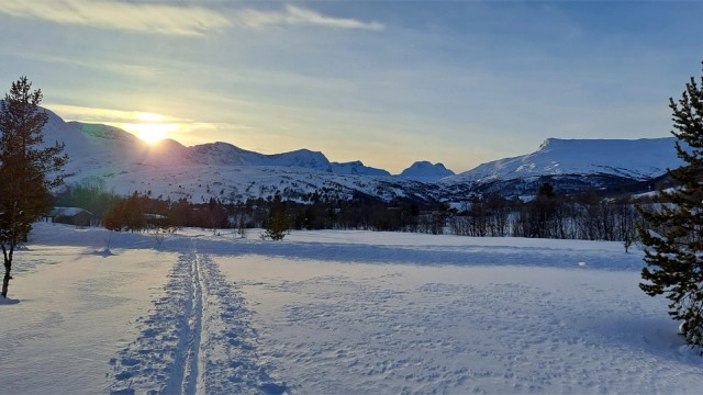 Selgers private bilder.