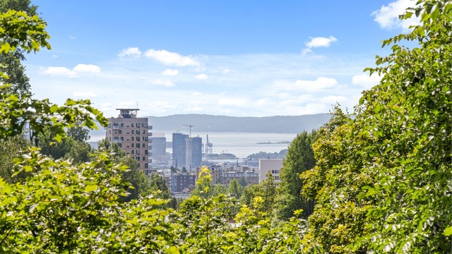 Fantastisk utsyn utover frodige og idylliske områder ned mot Oslo sentrum.