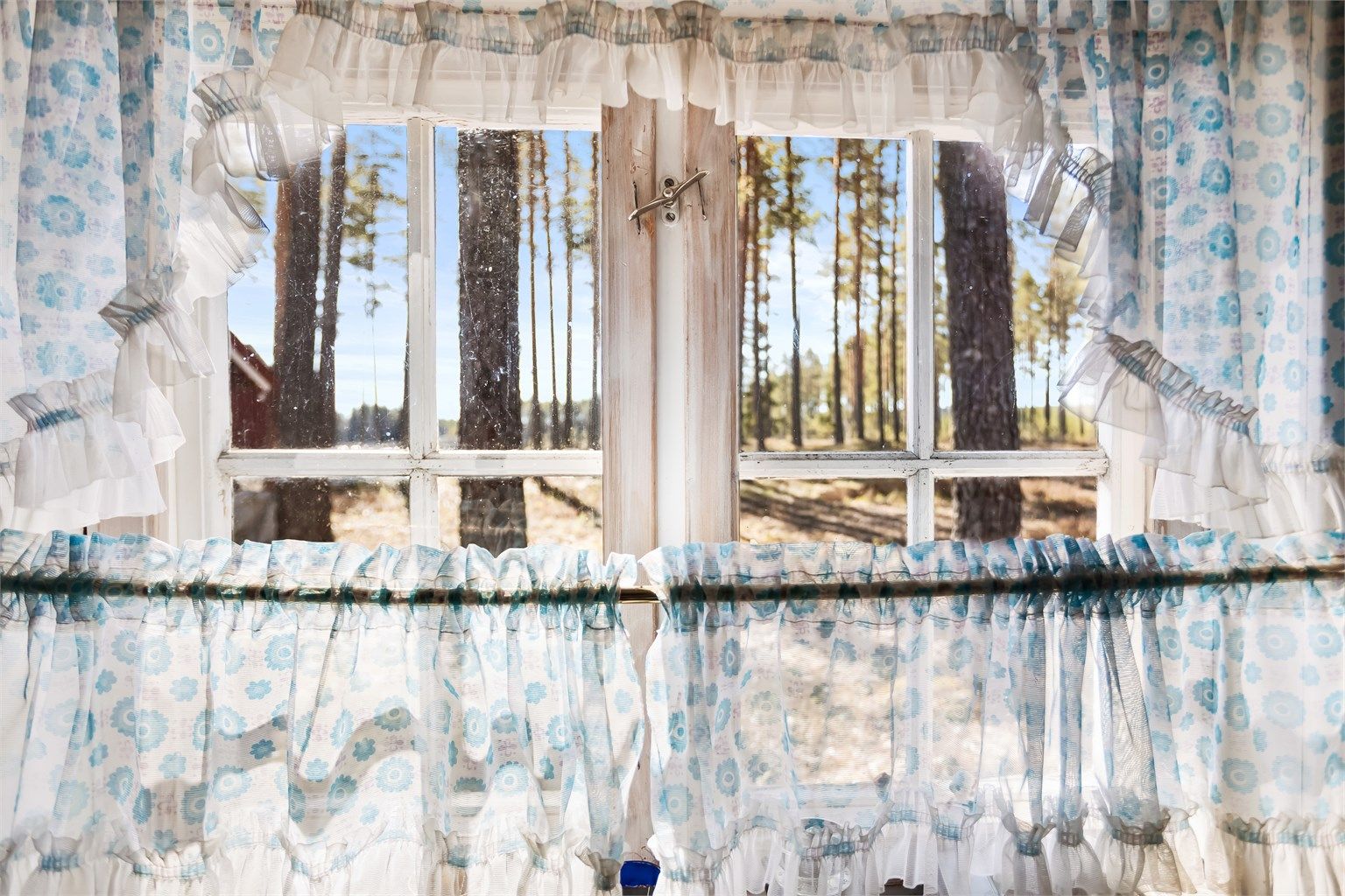 Utsikt mot skogen fra kjøkkenvinduet.