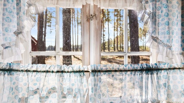 Utsikt mot skogen fra kjøkkenvinduet.
