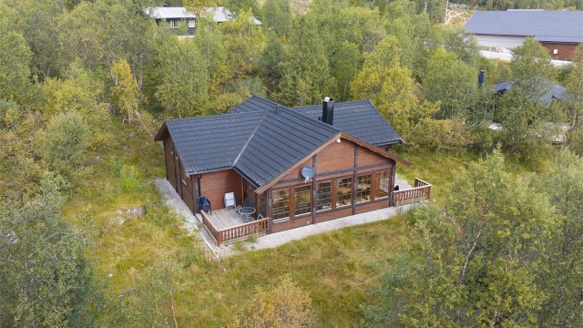 - Velkommen til Dyregrenda Nord 37 -