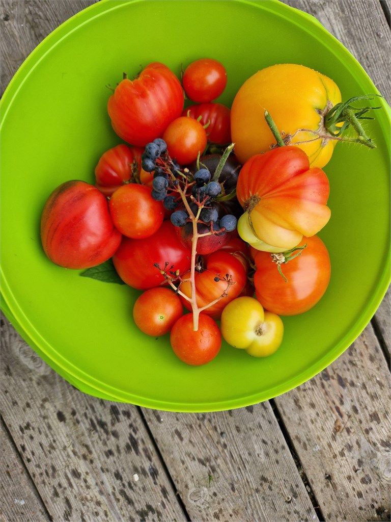 Egendyrket mat fra eiendommen. (Bilde fra selger)