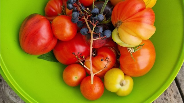 Egendyrket mat fra eiendommen. (Bilde fra selger)