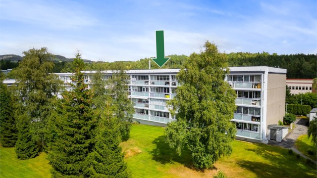 Selve boligområdet er veletablert og rolig - uten gjennomgangstrafikk