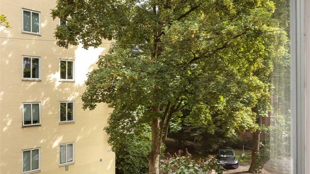 Hyggelig utsyn fra stuen