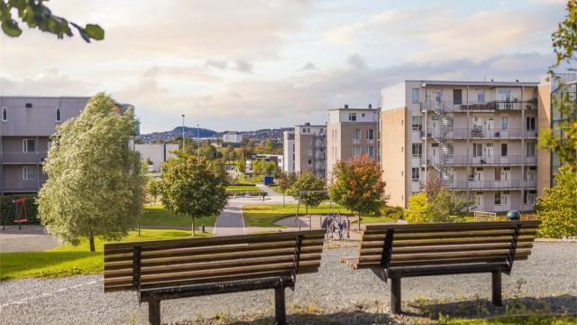Nydelige parkmessige uteområder