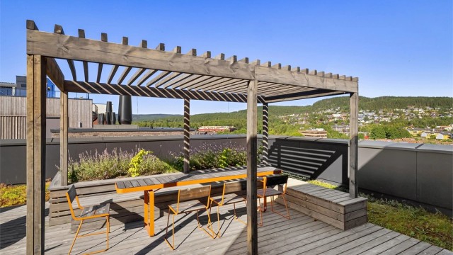 Felles takterrasse