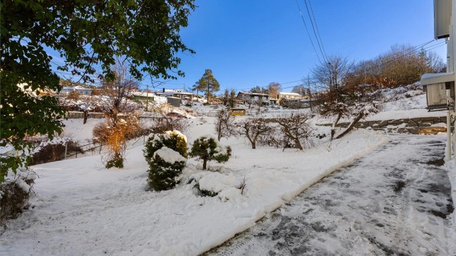 Hage med beplantning