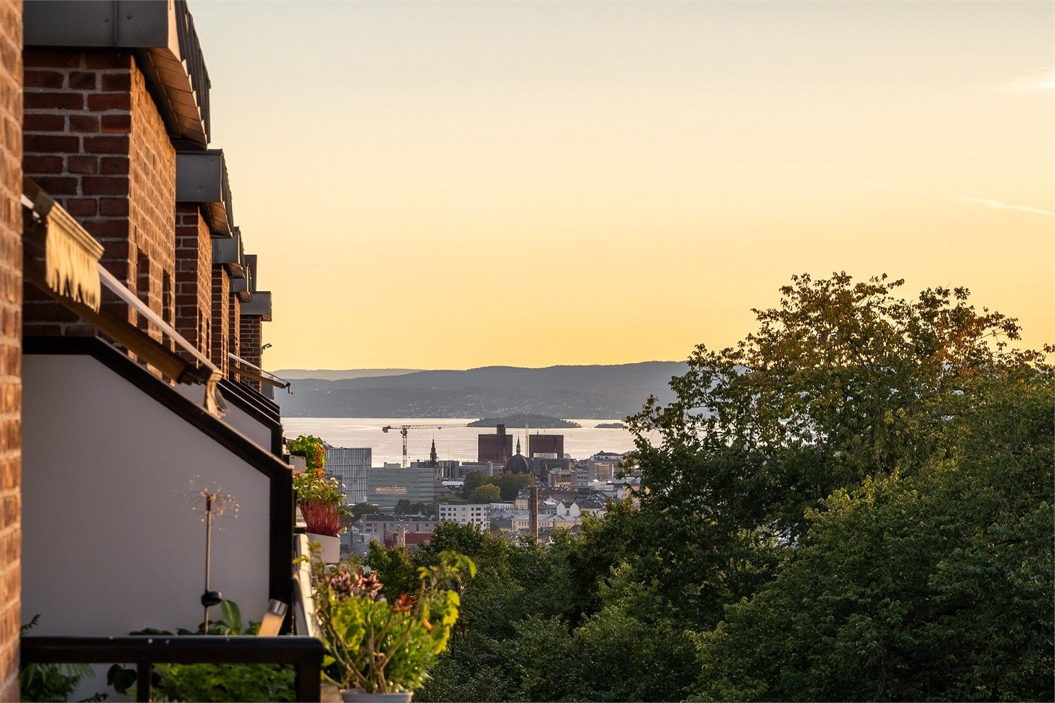 Her får du en herlig utsikt mot fjorden.