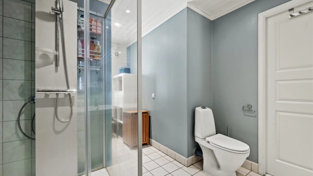 Badet har dusjkabinett og gulvstående toalett