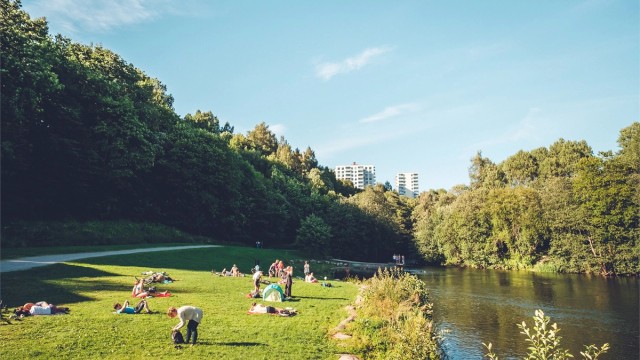 En liten spasertur langs Akerselva tar deg til Nydalsdammen