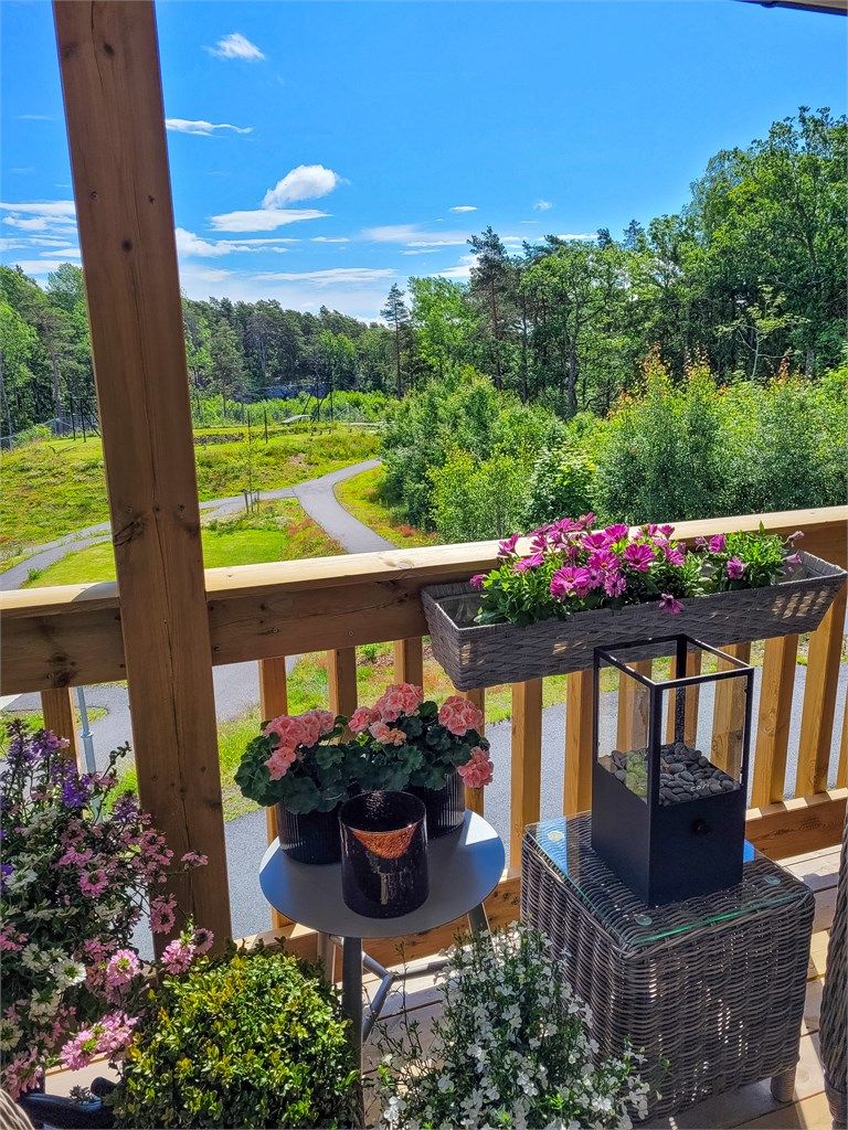 Sommerbilder. (Private bilder)