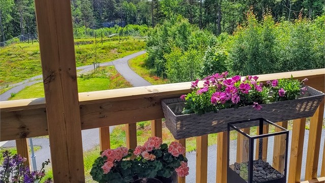 Sommerbilder. (Private bilder)