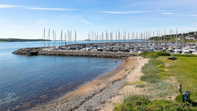 Søly båthavn ligger idyllisk til på sydøstsiden av Jeløya og har litt over 300 faste båtplasser. For gjestende båter er det en gjestebrygge
