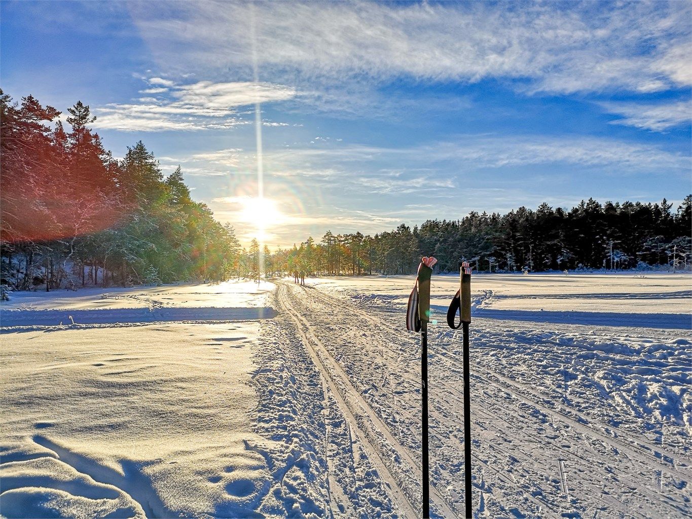 Selgers private bilde