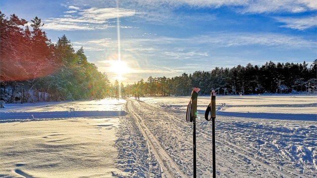 Selgers private bilde