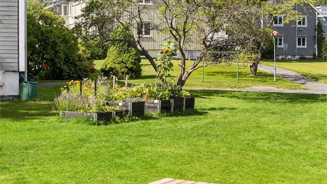 Borettslaget disponerer flere hagebenker som kan lånes hvis man skal ha hageselskap