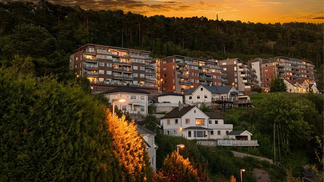 - Sosialt sameie med fellesaktiviteter -