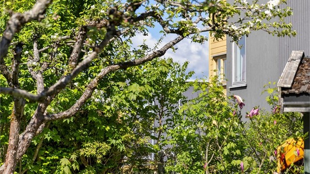 Huset ligger nokså sentrert på tomten, noe som gjør at man alltid kan finne et lunt sted og spise lunsj, eller drikke kaffe med familien og venner