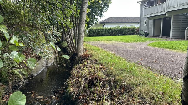 Selgers bilde av bekken ved inngangspartiet