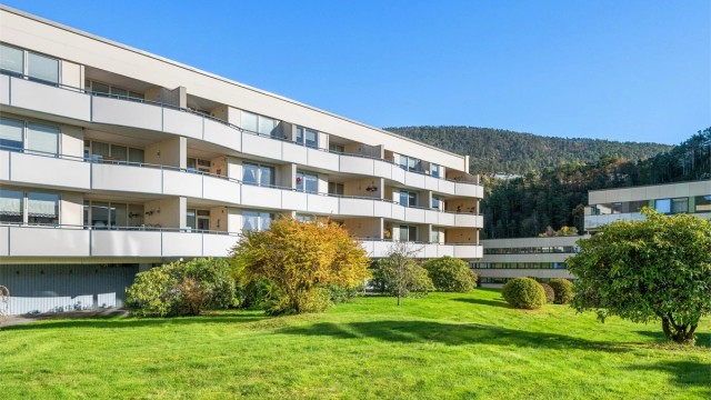 Bygningen har fasadeplater og store, grønne fellesområder rundt blokkene.