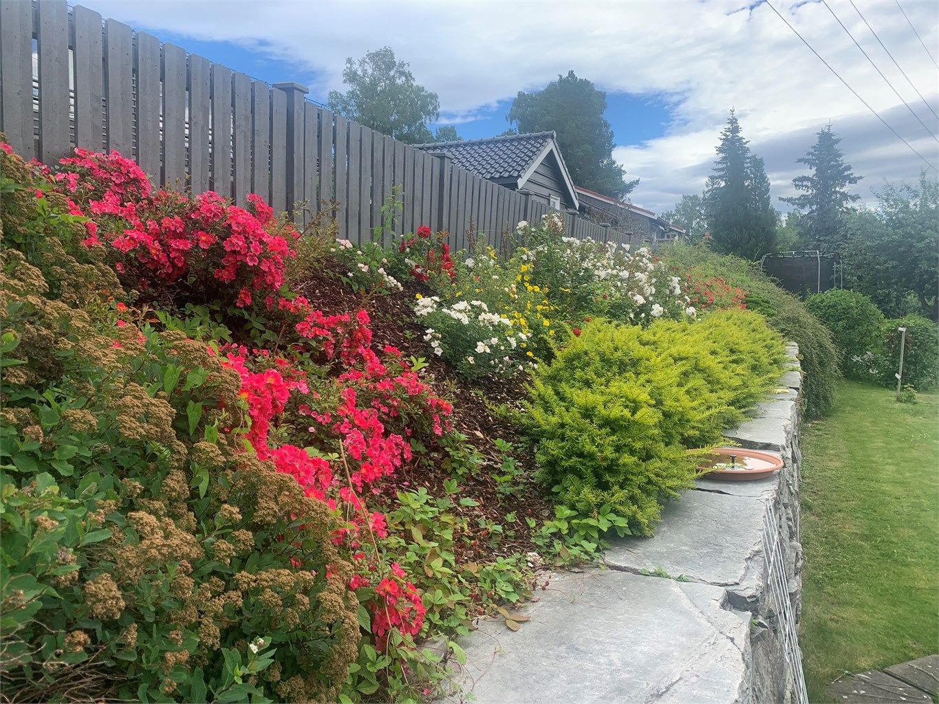 Sommerbilde tatt av selger. 