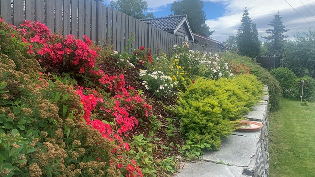 Sommerbilde tatt av selger.