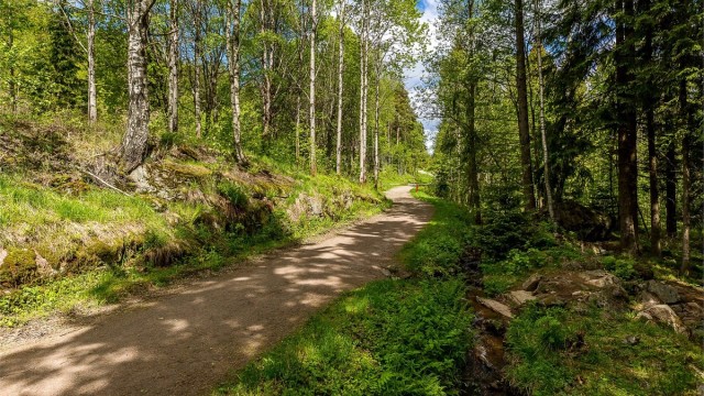 Lillomarka ligger kun noen minutter fra boligen