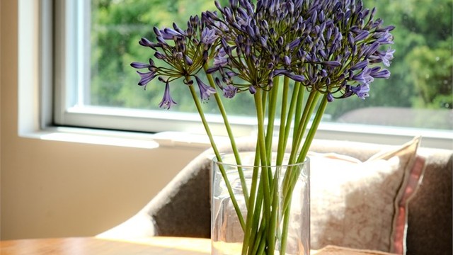 Vinduer med to- og trelags glass ble installert i 2015.