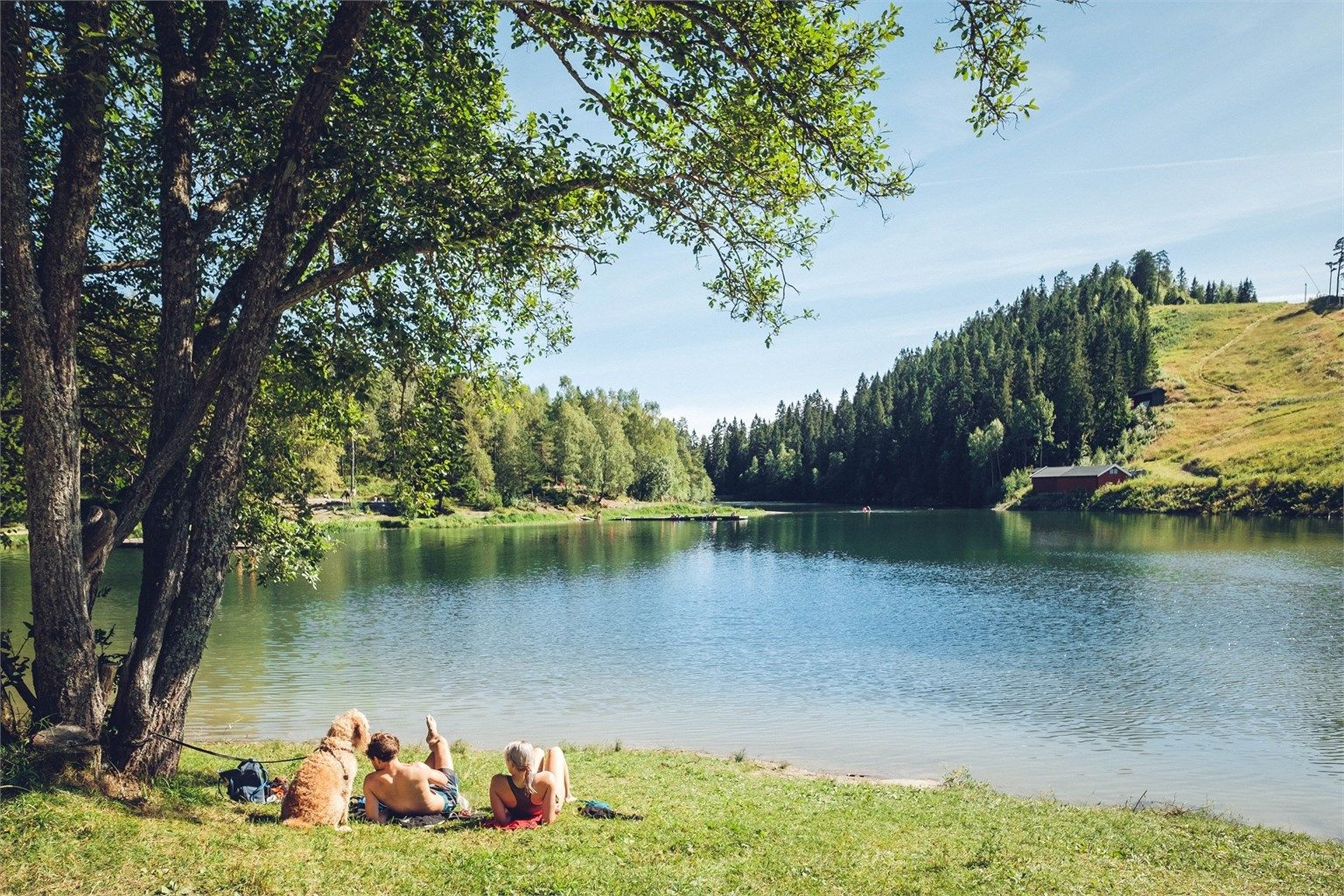 Fine bade- og turmuligheter på Trollvann. På vinterstid er det slalombakke og flotte langrennsløyper