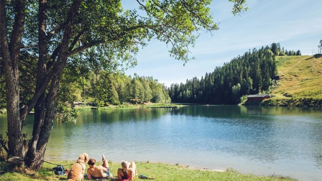 Fine bade- og turmuligheter på Trollvann. På vinterstid er det slalombakke og flotte langrennsløyper