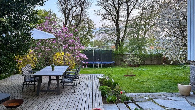 Vakker hage i full blomstring
