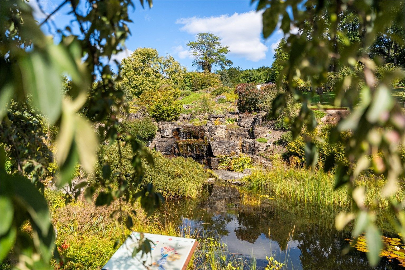 Botanisk hage er bare et steinkast unna. 