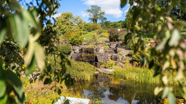 Botanisk hage er bare et steinkast unna.