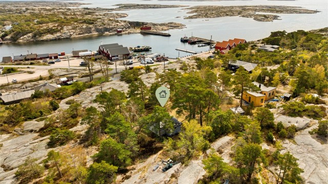 Rundt hyttas fire vegger vokser naturlig vegetasjon som skjermer mot både vind og innsyn.