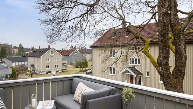 Hyggelig og frodig utsikt