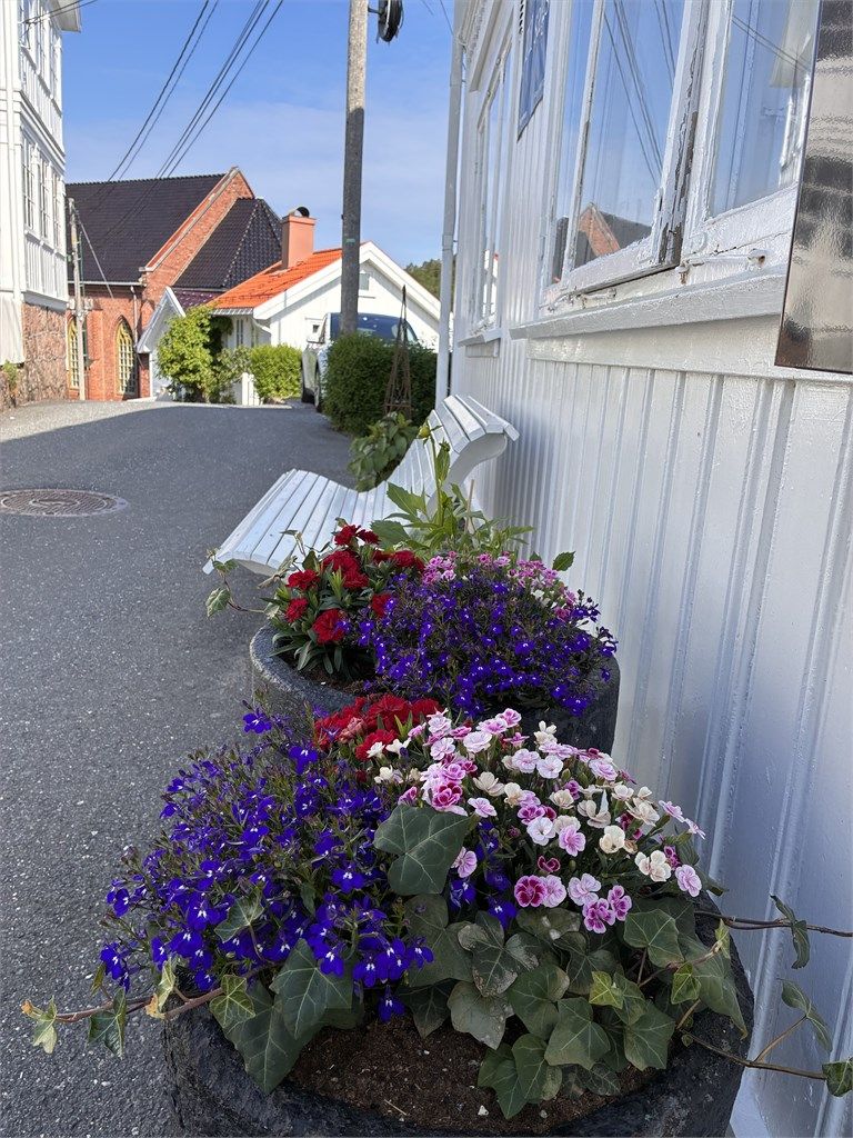 Koselig gate forbi huset, få meter til sentrumsgata og snarveier like ved, enten du skal handle eller på restaurant.
