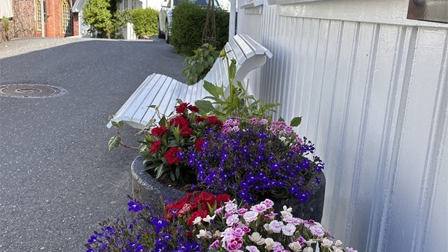Koselig gate forbi huset, få meter til sentrumsgata og snarveier like ved, enten du skal handle eller på restaurant.