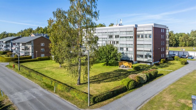 Fellestomten er pent opparbeidet med asfalterte gangveier og frodig beplantning.