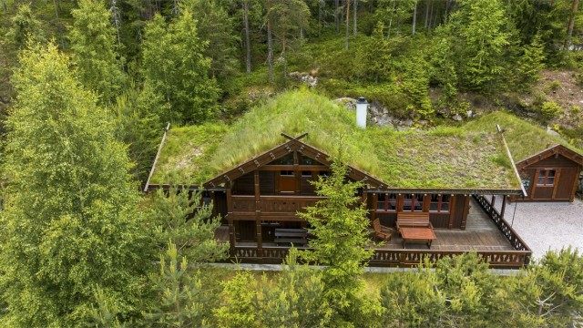 Hytten ligger høyt på feltet omkranset med natur og naturlig vegetasjen