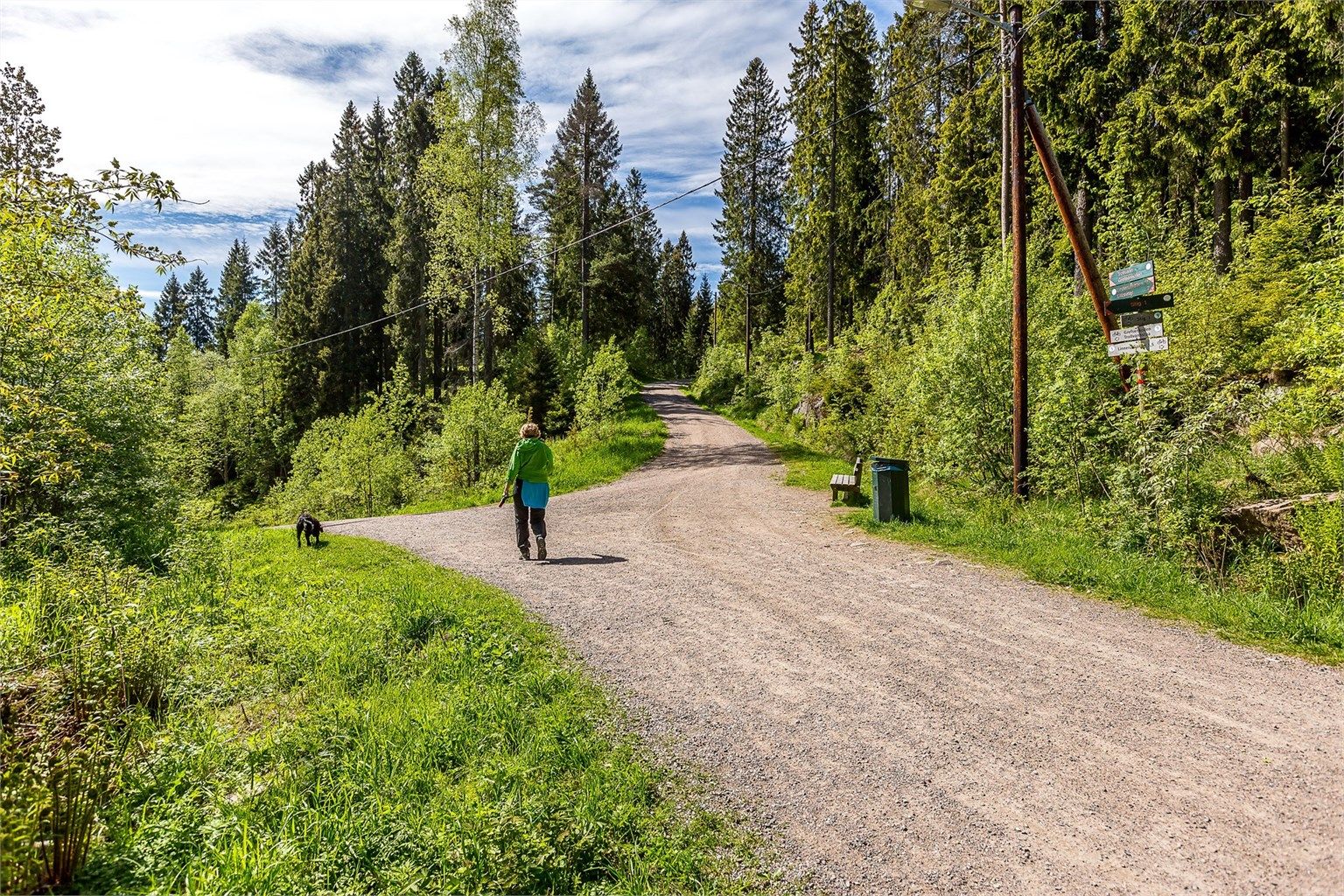 Lillomarka med flotte turstier ligger rett i nærheten