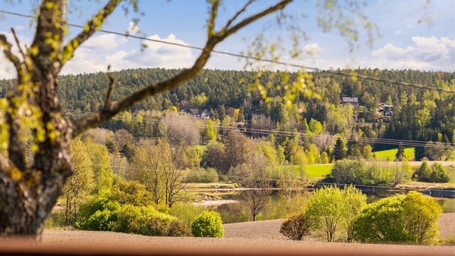 Naturskjønn utsikt til Glomma og det frodige landskapet langs elveløpet.