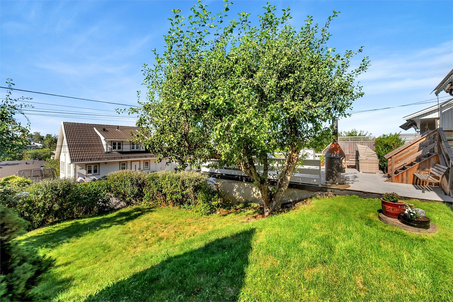 Hagen byr på frodig beplantning med plommetre, epletre, ripsbusker og rabarbra. Foto: Martine Eren Jacobsen / iSnitt